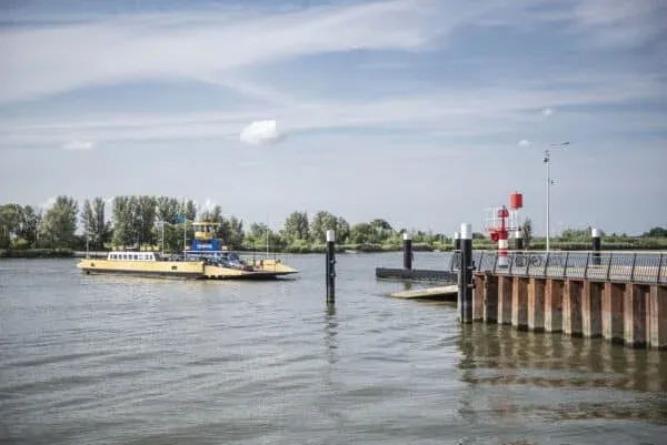 De Koning_8-600x401